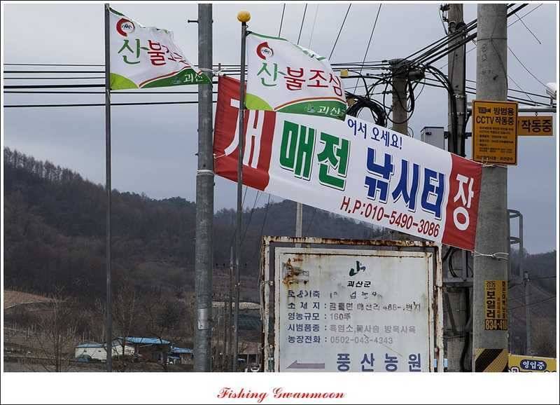 충주괴산권 조황 소식 (조황조행기 - 특파원조황)