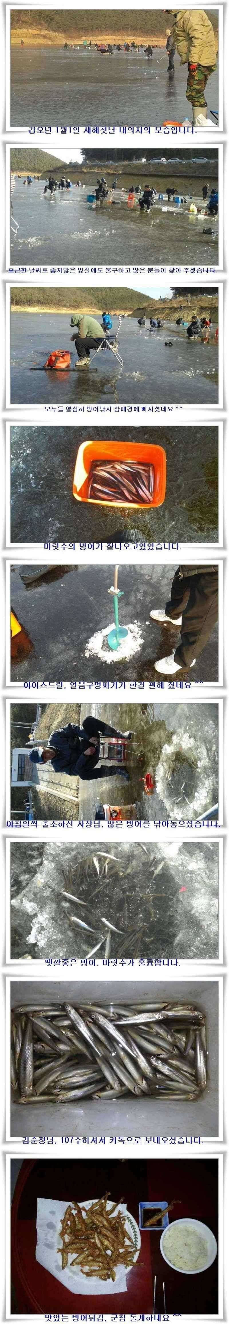 내의지 빙어호조황 (조황조행기 - 특파원조황)
