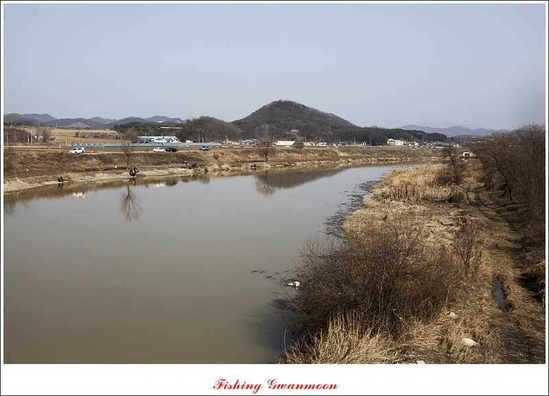 충주괴산권 조황 소식 (조황조행기 - 특파원조황)