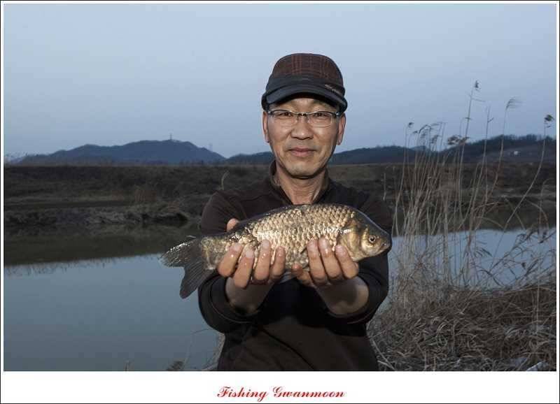 충주괴산권 조황 소식 (조황조행기 - 특파원조황)