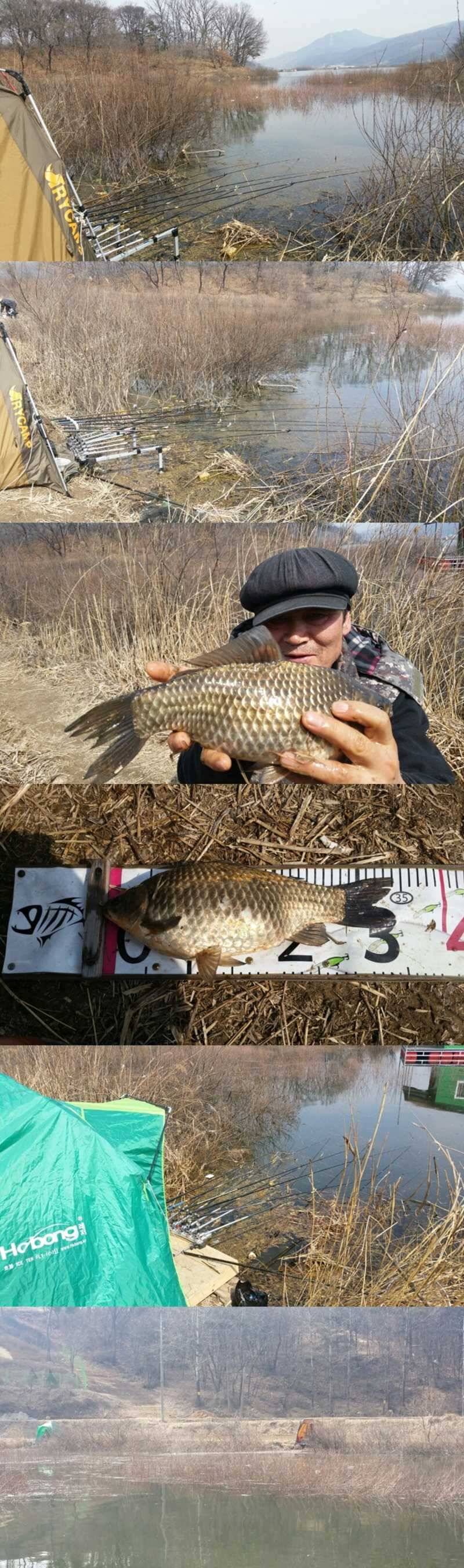 고삼지 노지에서 대물들이 나온다 전해라 (조황조행기 - 특파원조황)