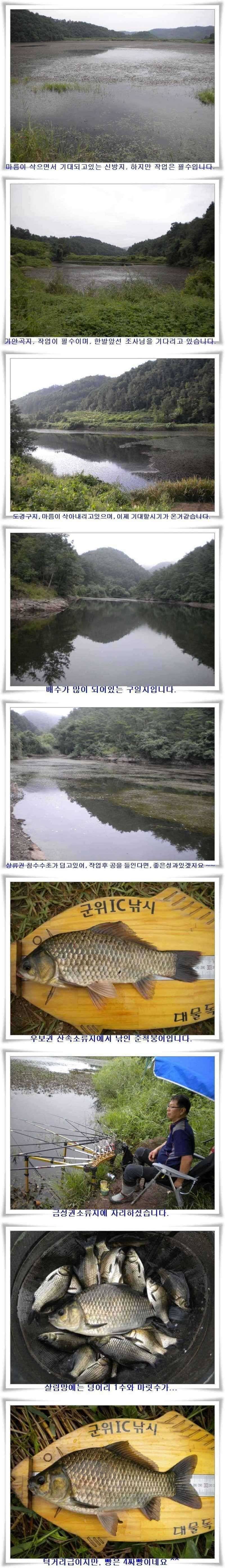 천고어비의 계절 (조황조행기 - 특파원조황)