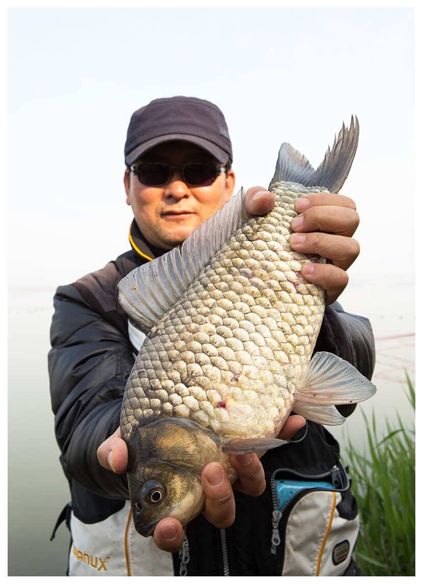 부남호 5월4일 42cm 40cm외 대물 마릿수조황 (조황조행기 - 특파원조황)