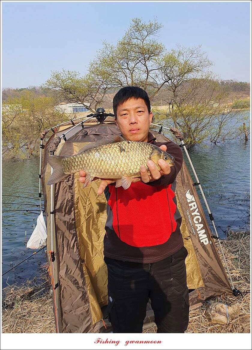 한버들 4 짜노지39 cm화곡지 사짜 조황 (조황조행기 - 특파원조황)
