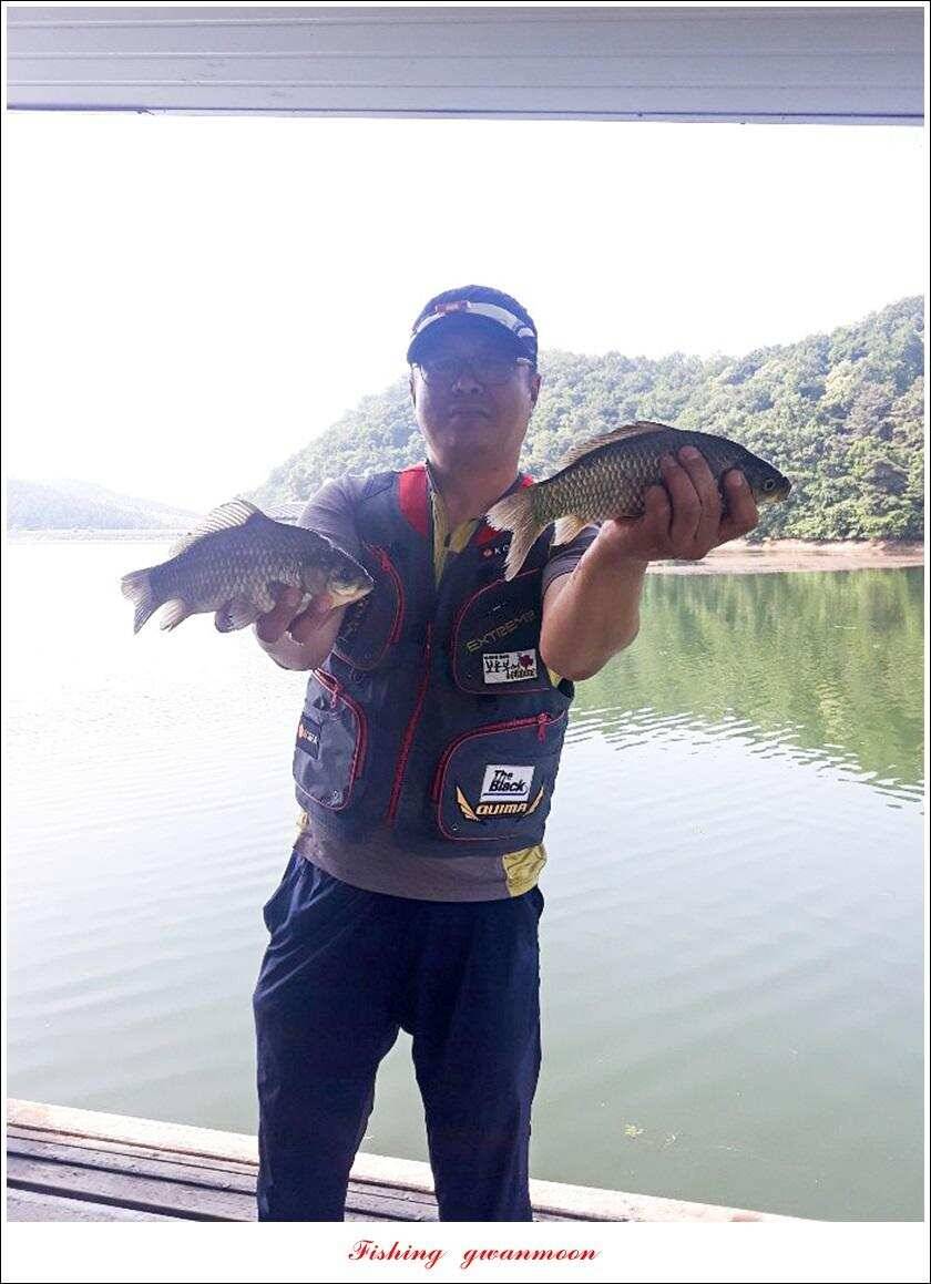 화곡지 사짜덕곡 37 cm추평지 조황 (조황조행기 - 특파원조황)