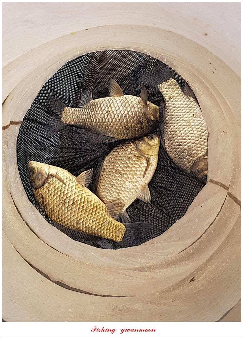 화곡지 사짜칠성지달천강추평지 조황 (조황조행기 - 특파원조황)