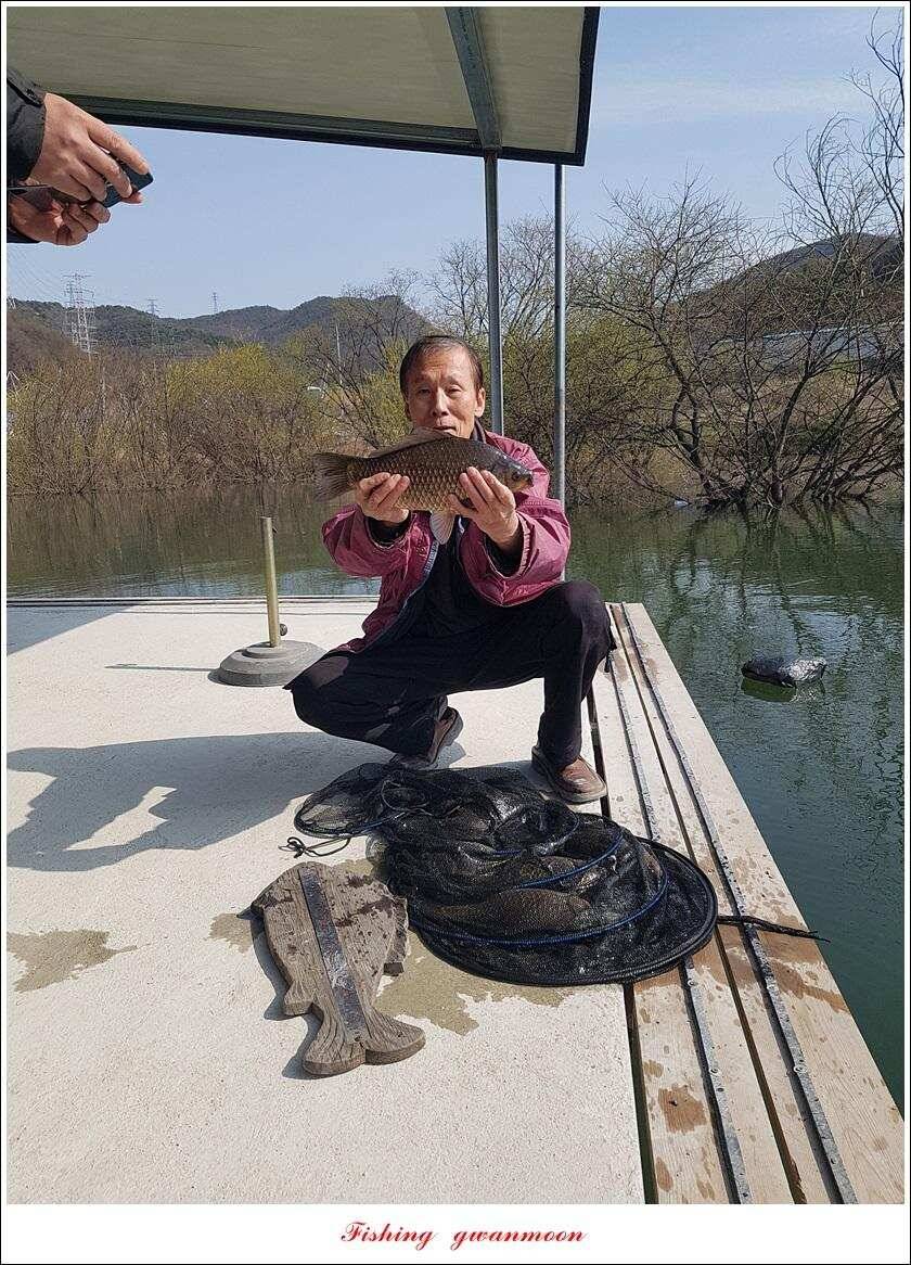 화곡지 사짜칠성지갈마늪대제지추평지 조황 (조황조행기 - 특파원조황)