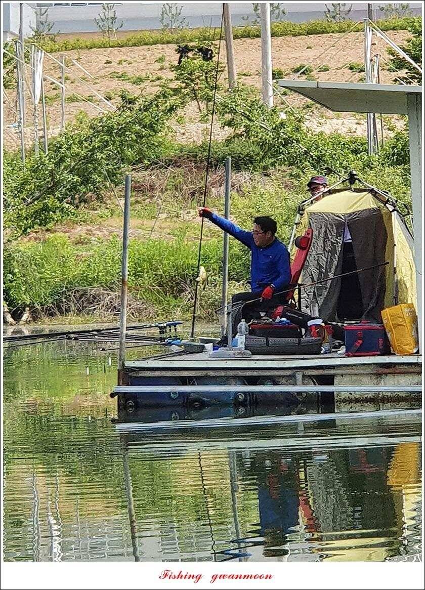제일 4 짜돌감 39cm화곡지 대물 조황 (조황조행기 - 특파원조황)