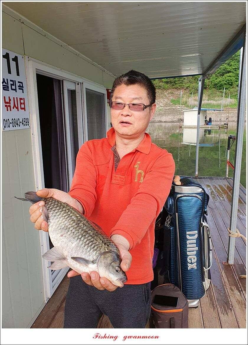 실리곡 4 짜돌감 395 cm칠성지 4 짜 (조황조행기 - 특파원조황)