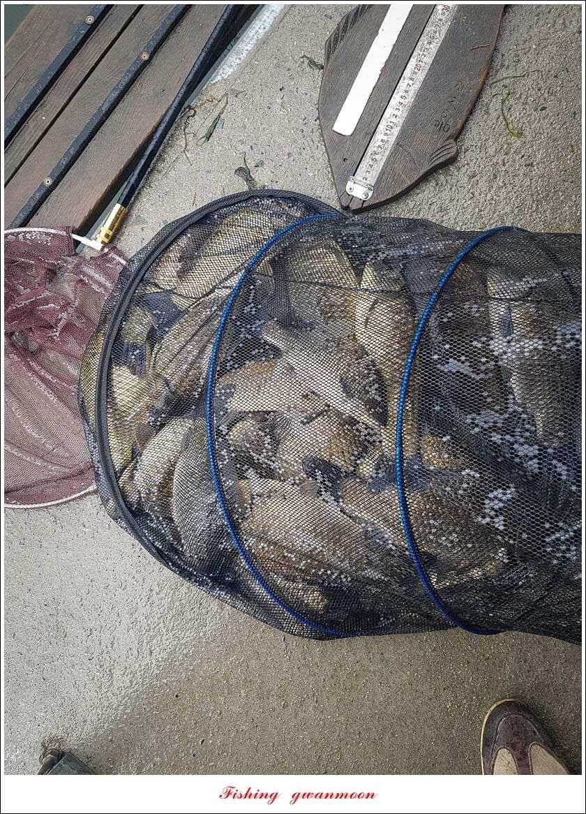 화곡지 사짜칠성지달천강추평지 조황 (조황조행기 - 특파원조황)