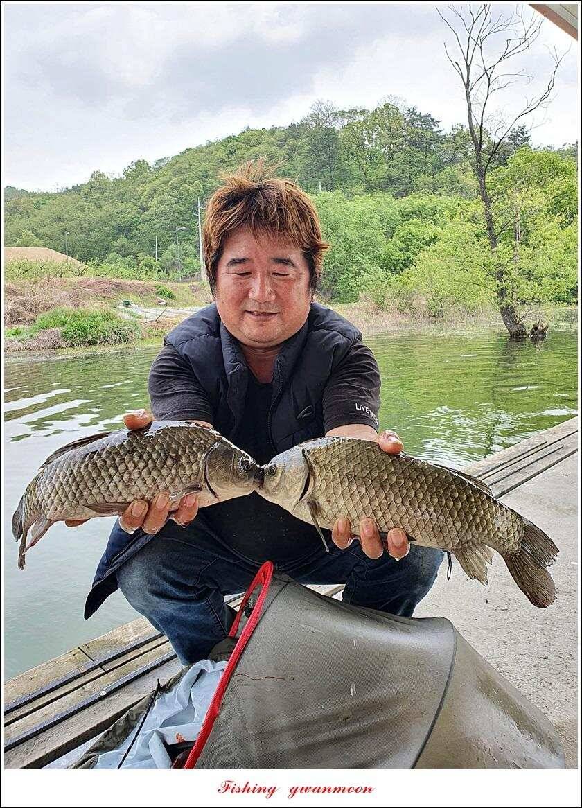 제일 435 cm415 cm문골 37 cm화곡지 4 짜 대물 조황 (조황조행기 - 특파원조황)