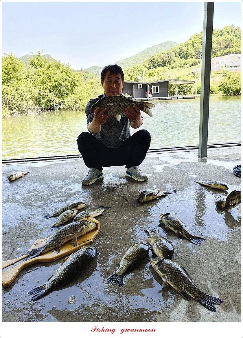 제일 4 짜돌감 39cm화곡지 대물 조황 (조황조행기 - 특파원조황)
