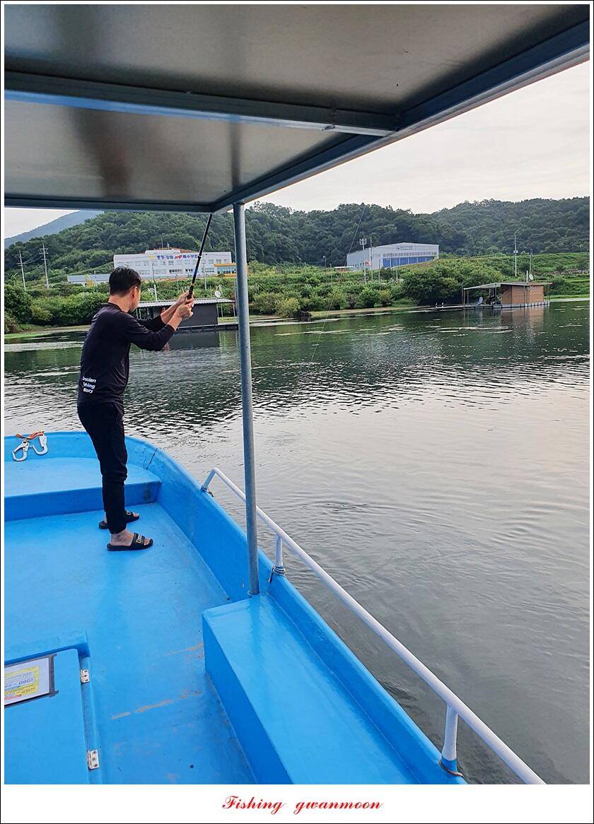 충주호 오름수위화곡지 조황 (조황조행기 - 특파원조황)