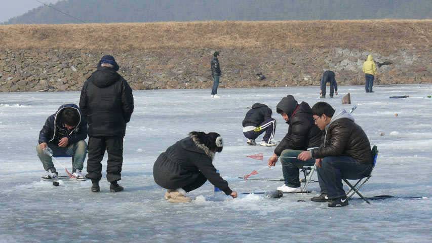 오산권 막바지 빙어낚시 (조황조행기 - 특파원조황)