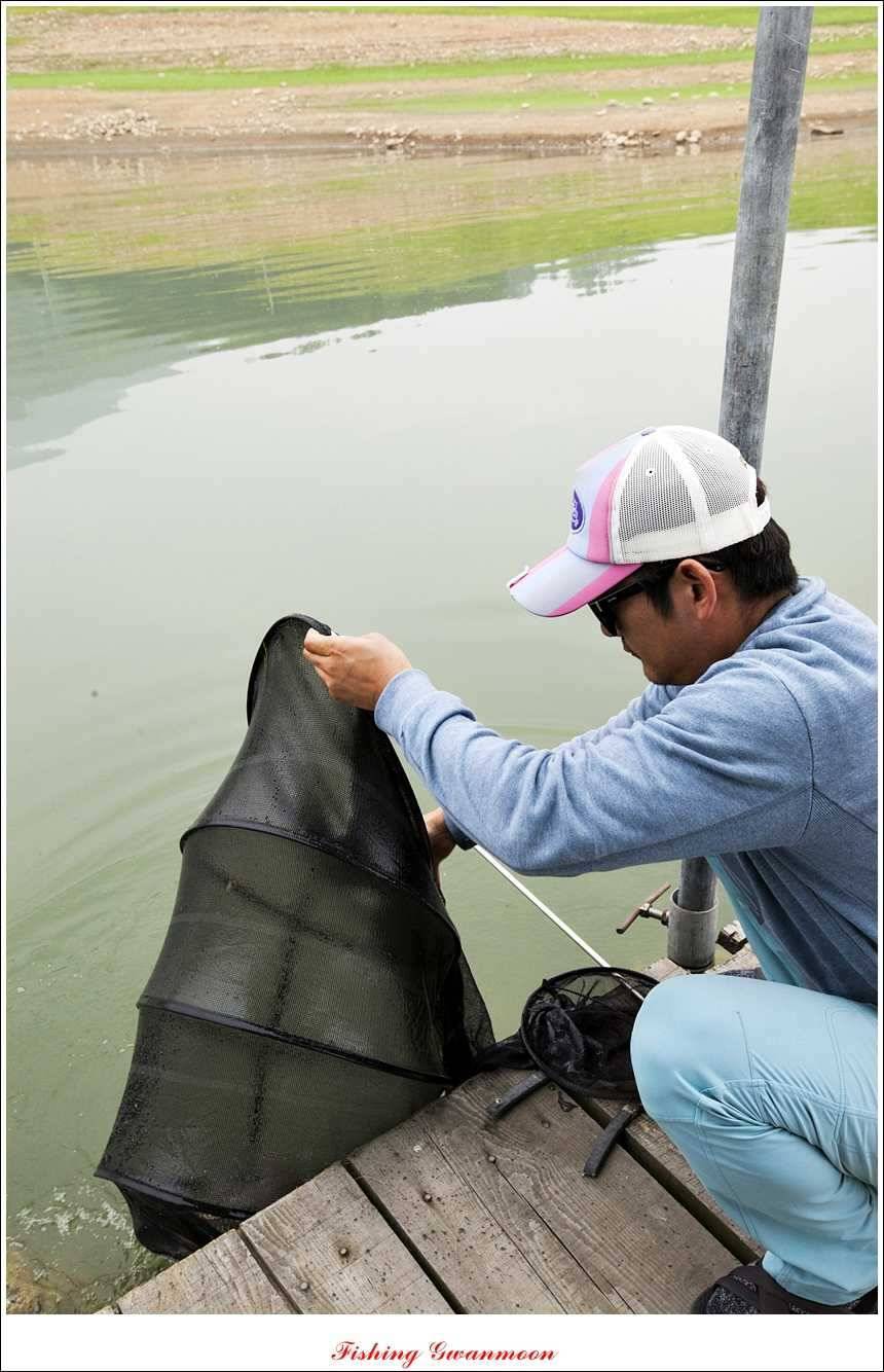 대류 한버들 45 cm 41 cm 39 cm 대물 조황 (조황조행기 - 특파원조황)