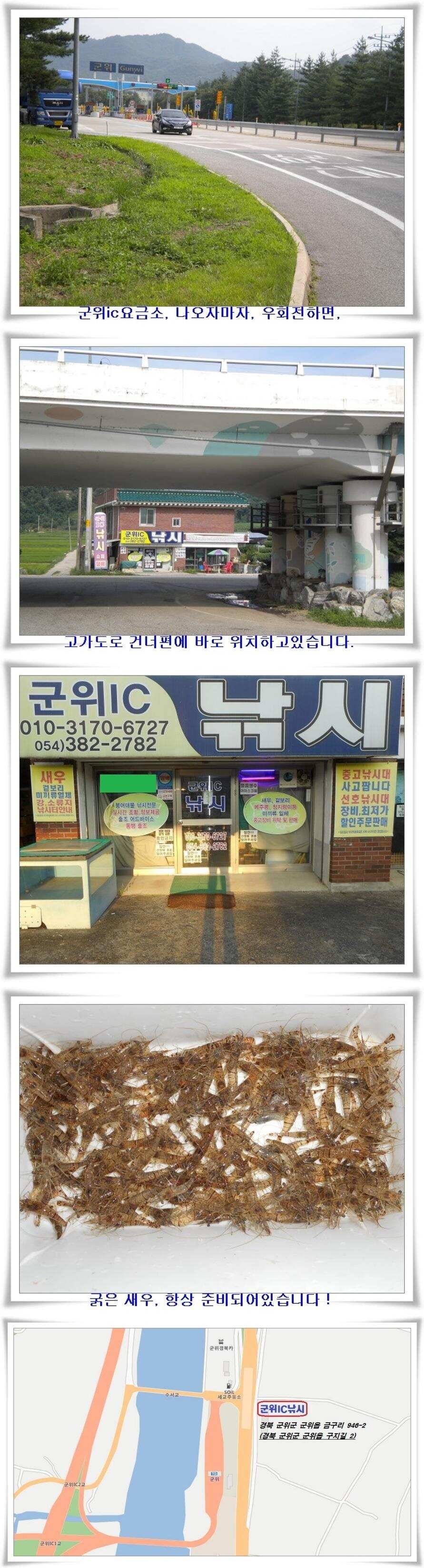 봄붕어 대박조황 (조황조행기 - 특파원조황)