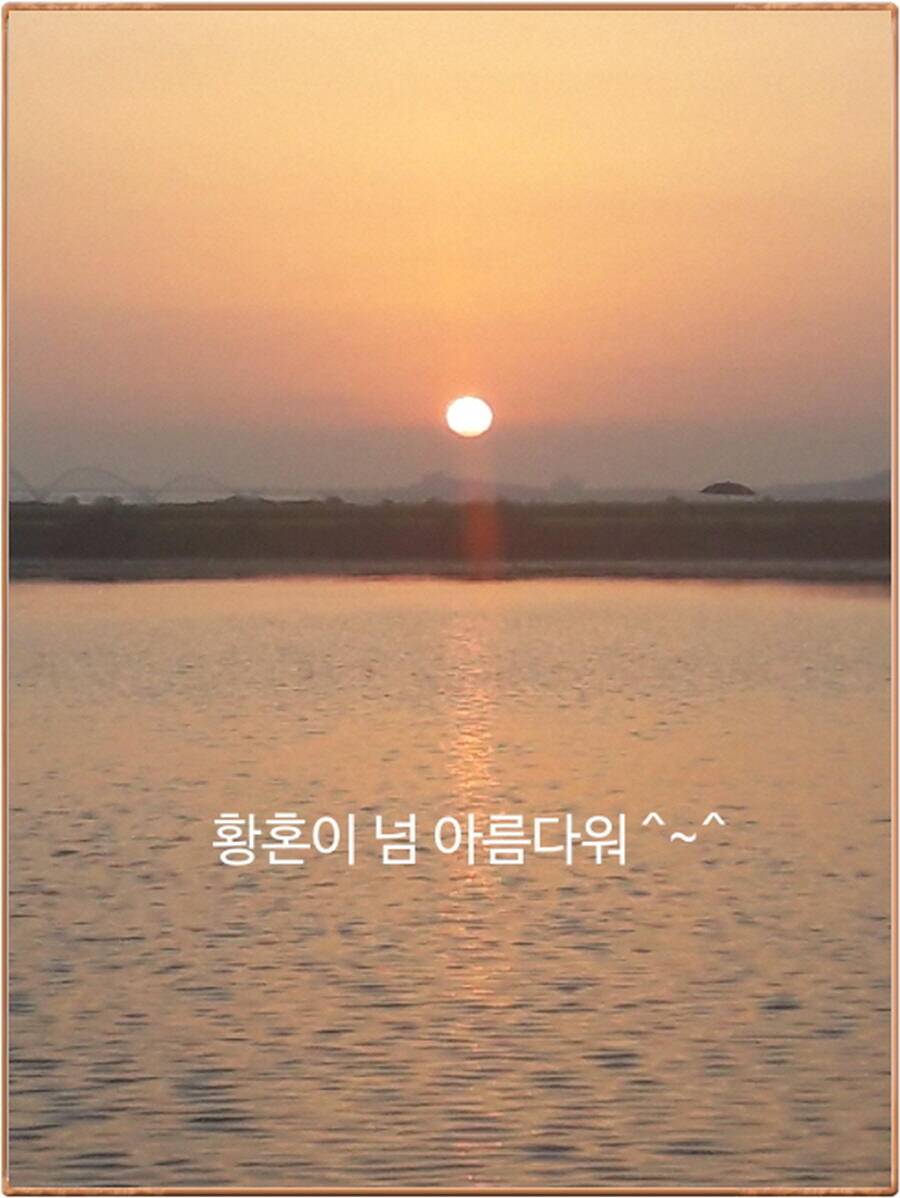 진위천 평택호 조황 (조황조행기 - 특파원조황)