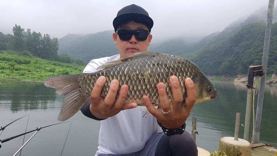 명서낚시터 4짜에 허리급 월척조황 (조황조행기 - 특파원조황)