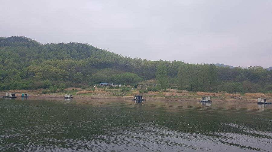 명서낚시터 4짜 대물붕어 조황입니다 (조황조행기 - 특파원조황)