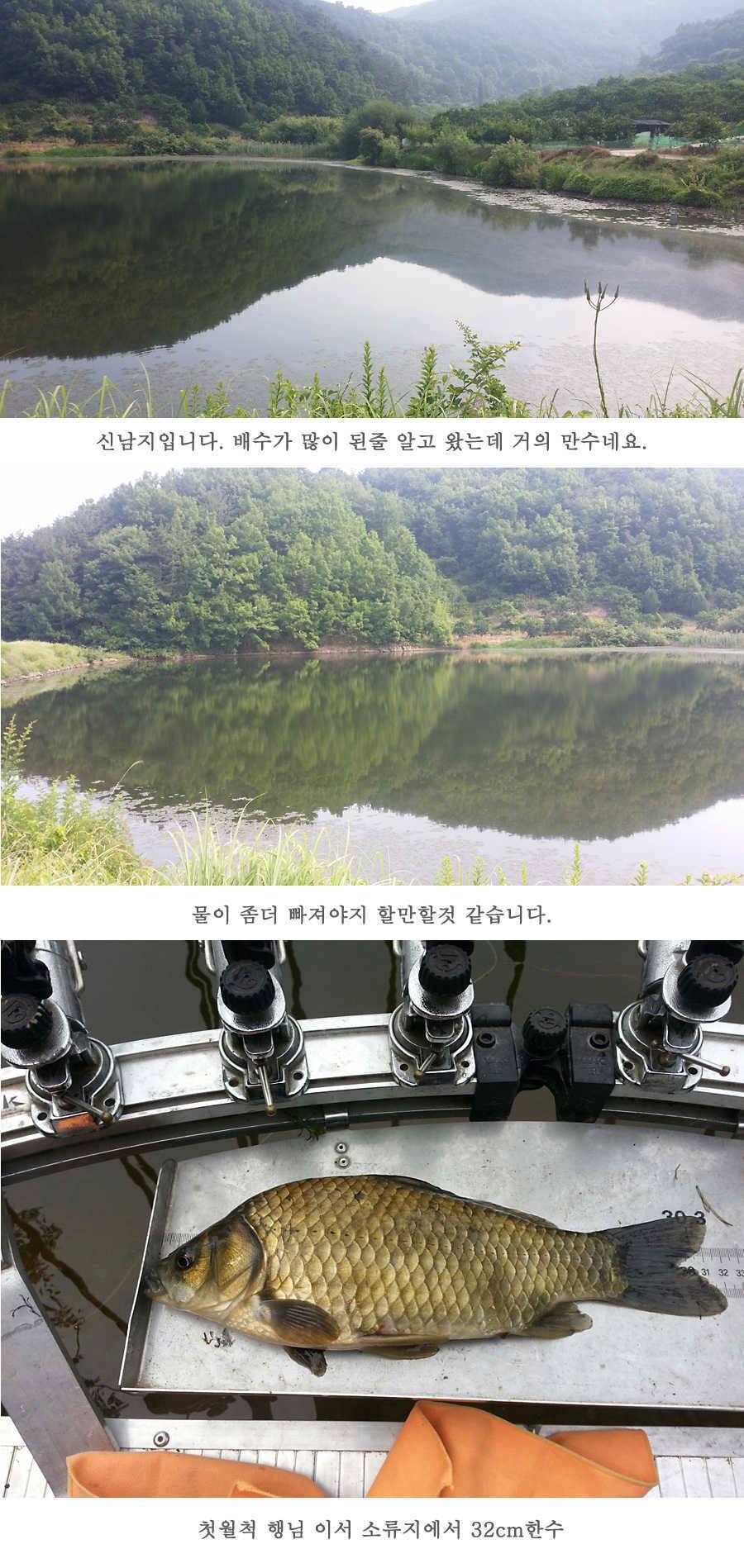 청도권 지난주 조황 (조황조행기 - 특파원조황)