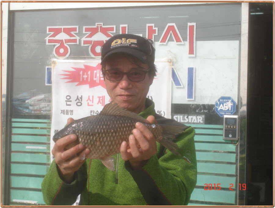 진위천 조황 소식 (조황조행기 - 특파원조황)