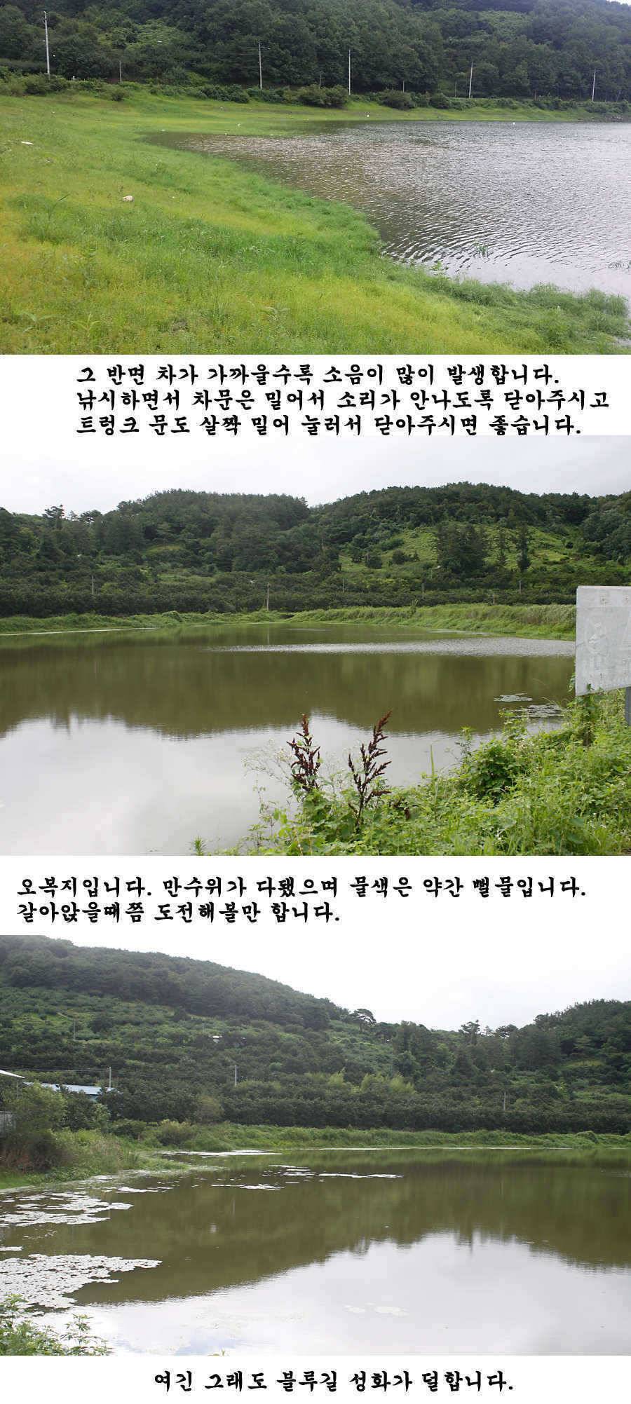 청도권 주말 조황입니다 (조황조행기 - 특파원조황)