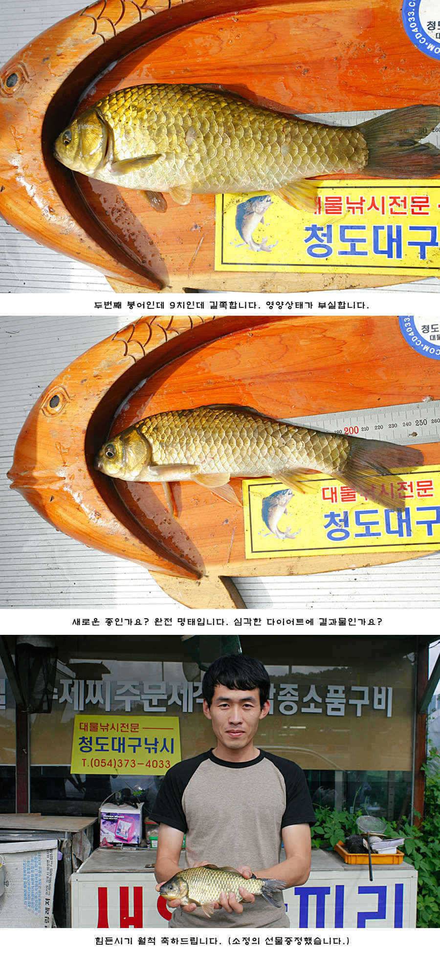 청도권 주중 조황정보 (조황조행기 - 특파원조황)