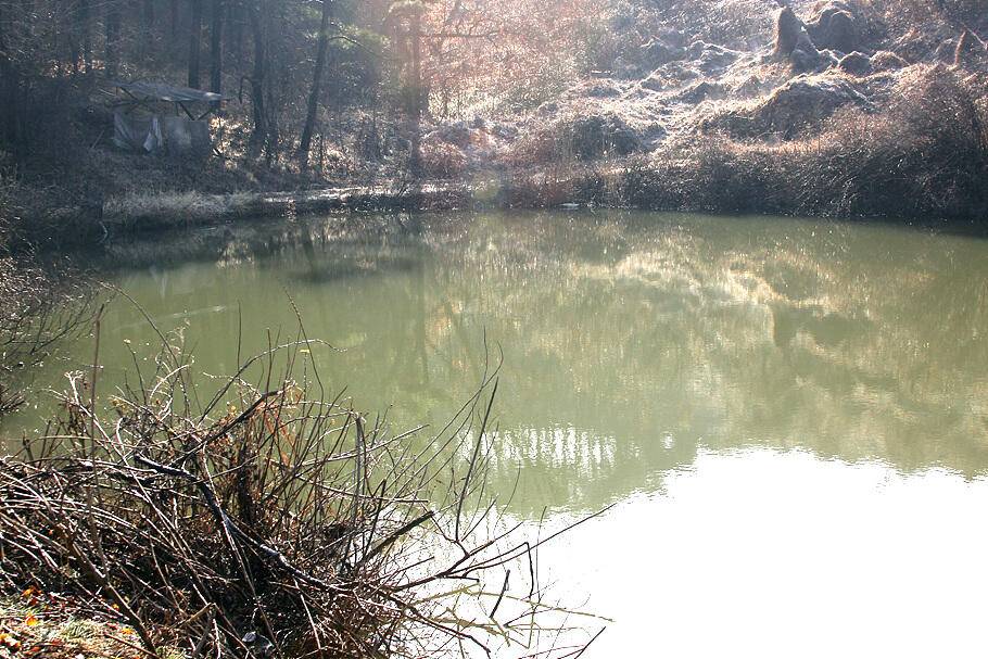 대구경산권 조황안내시즌의 시작 (조황조행기 - 특파원조황)