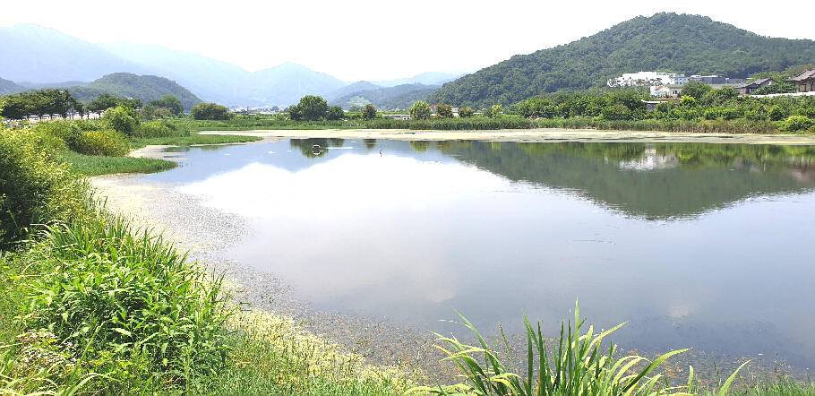 삼복지절 조황안내늦 장마에 라도 거는 기대 (조황조행기 - 특파원조황)