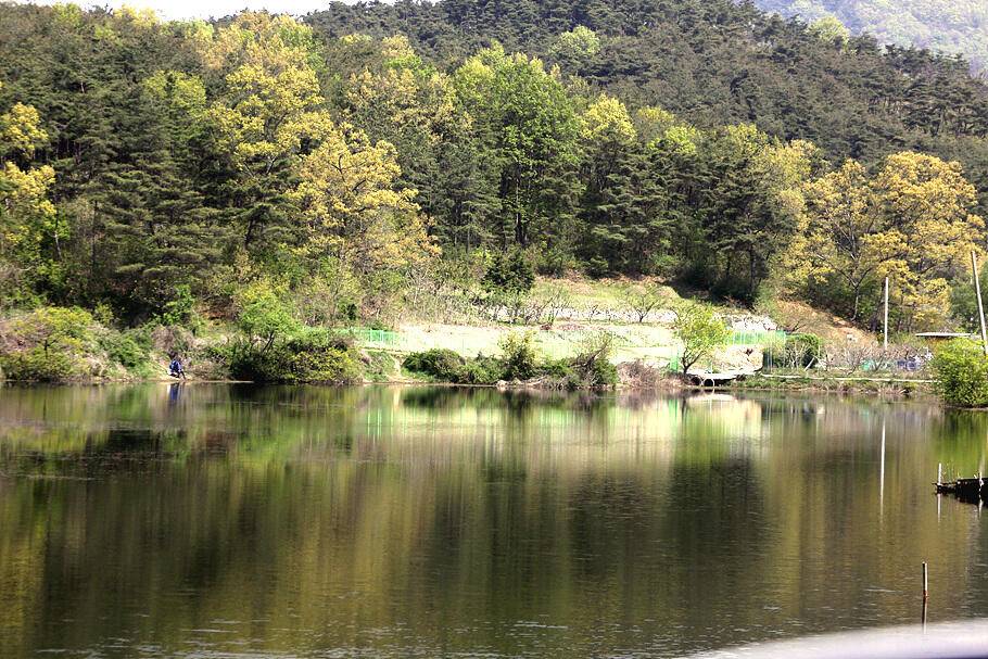 경산청도권 저수지 모습산란과 안정이 혼재한듯 (조황조행기 - 특파원조황)