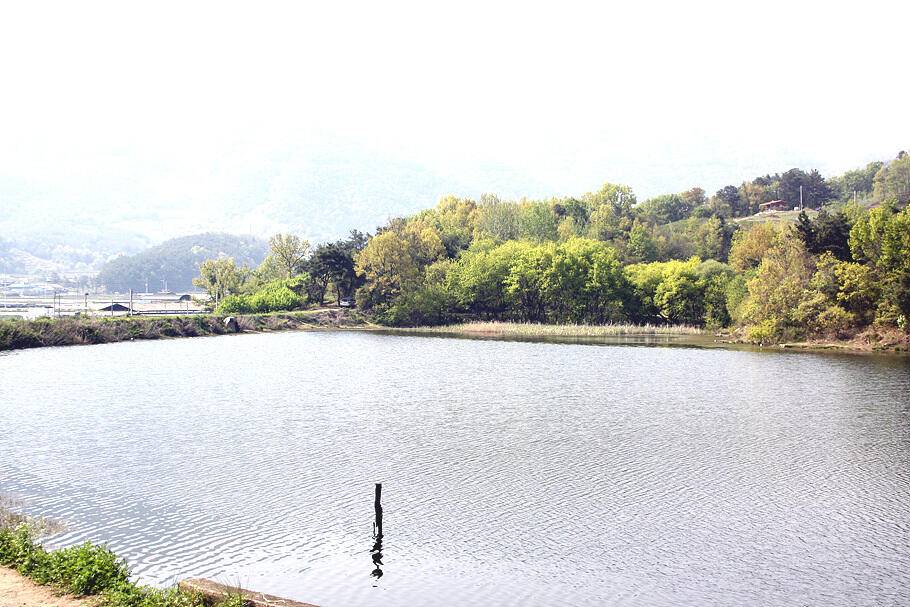 경산청도권 저수지 모습산란과 안정이 혼재한듯 (조황조행기 - 특파원조황)