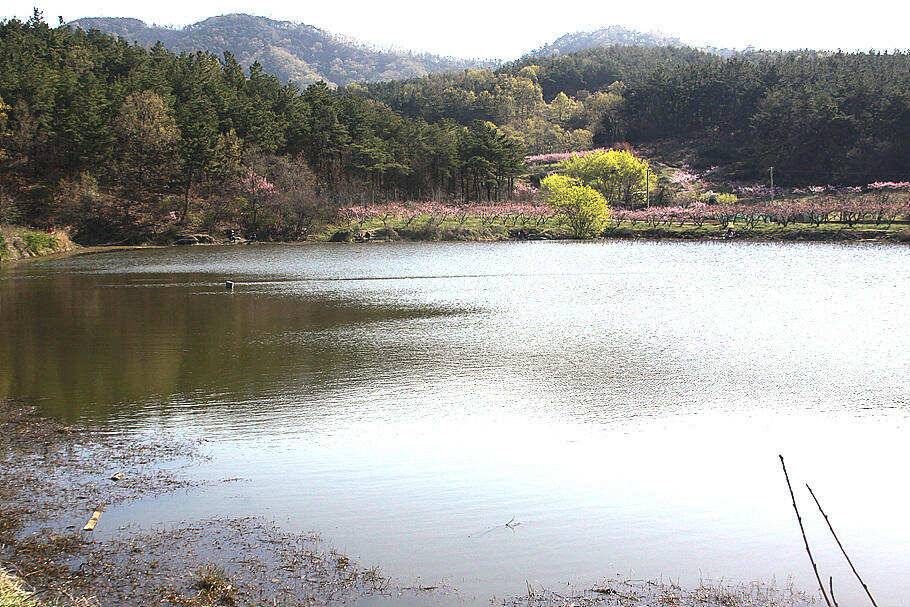 손맛보기 딱좋은계절 4월의 조황안내 입니다 (조황조행기 - 특파원조황)