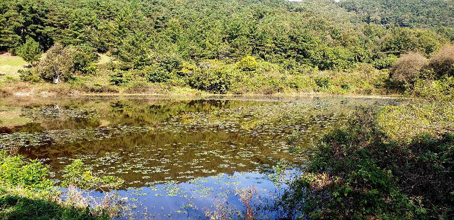 최고의 가을 시즌을 맞고 있습니다 (조황조행기 - 특파원조황)
