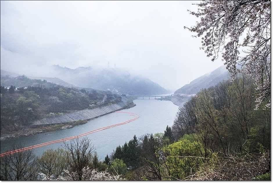 충주권 조황 (조황조행기 - 특파원조황)