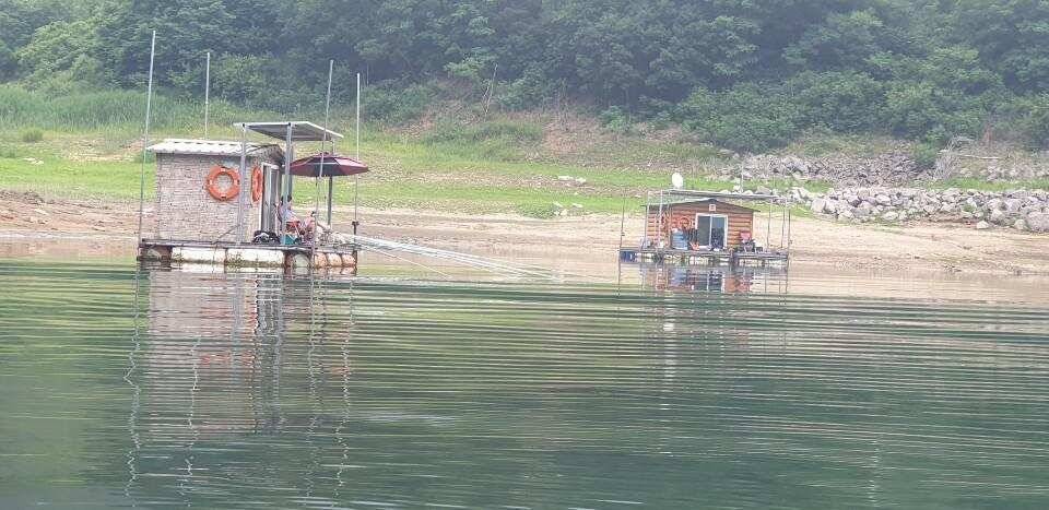 솔 42 43cm 대물붕어 목벌에도 4짜 꽃바위 키로급장어 허리급 붕어조황 (조황조행기 - 특파원조황)
