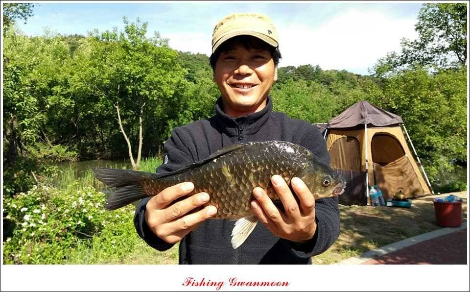 솔 낚시터 사짜38 cm칠성지 사짜 (조황조행기 - 특파원조황)
