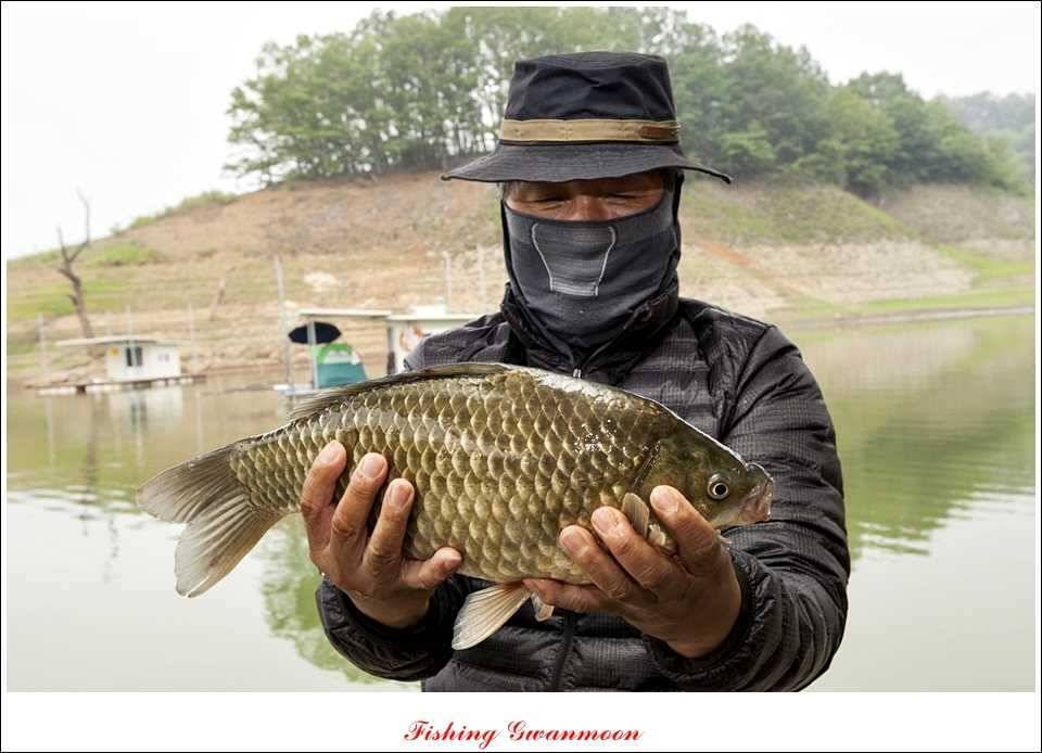 대류 한버들 45 cm 41 cm 39 cm 대물 조황 (조황조행기 - 특파원조황)