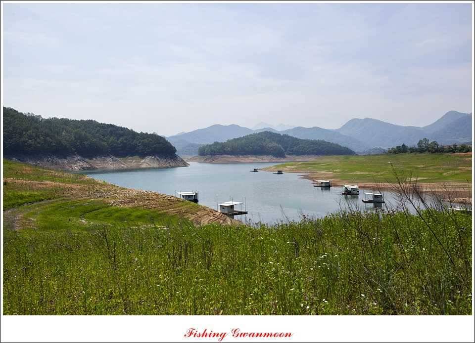 충주호 조황화곡지 사짜 (조황조행기 - 특파원조황)