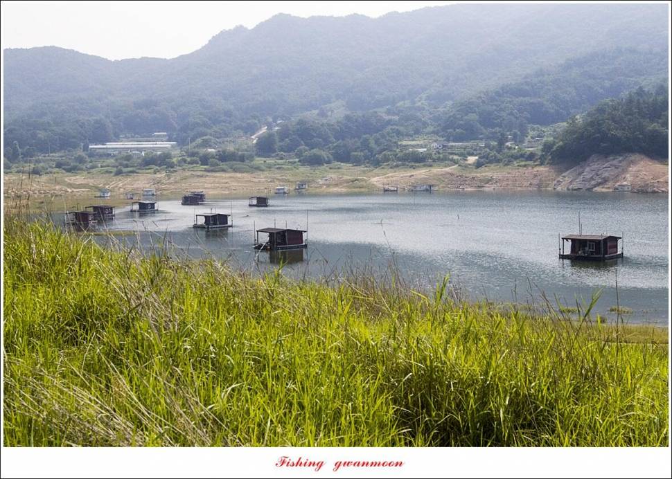 솔 4 짜 3 수화곡지 4 짜 마릿수 조황 (조황조행기 - 특파원조황)