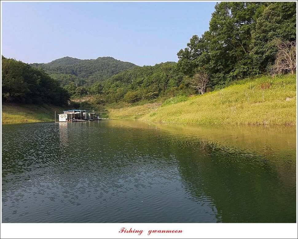 제일돌감 월척 조황 (조황조행기 - 특파원조황)