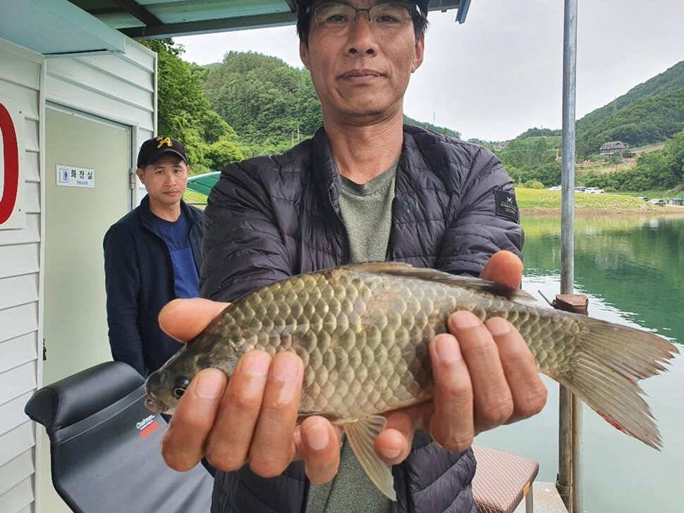 목벌 내림수위에 대물붕어 대물장어 조황입니다 (조황조행기 - 특파원조황)