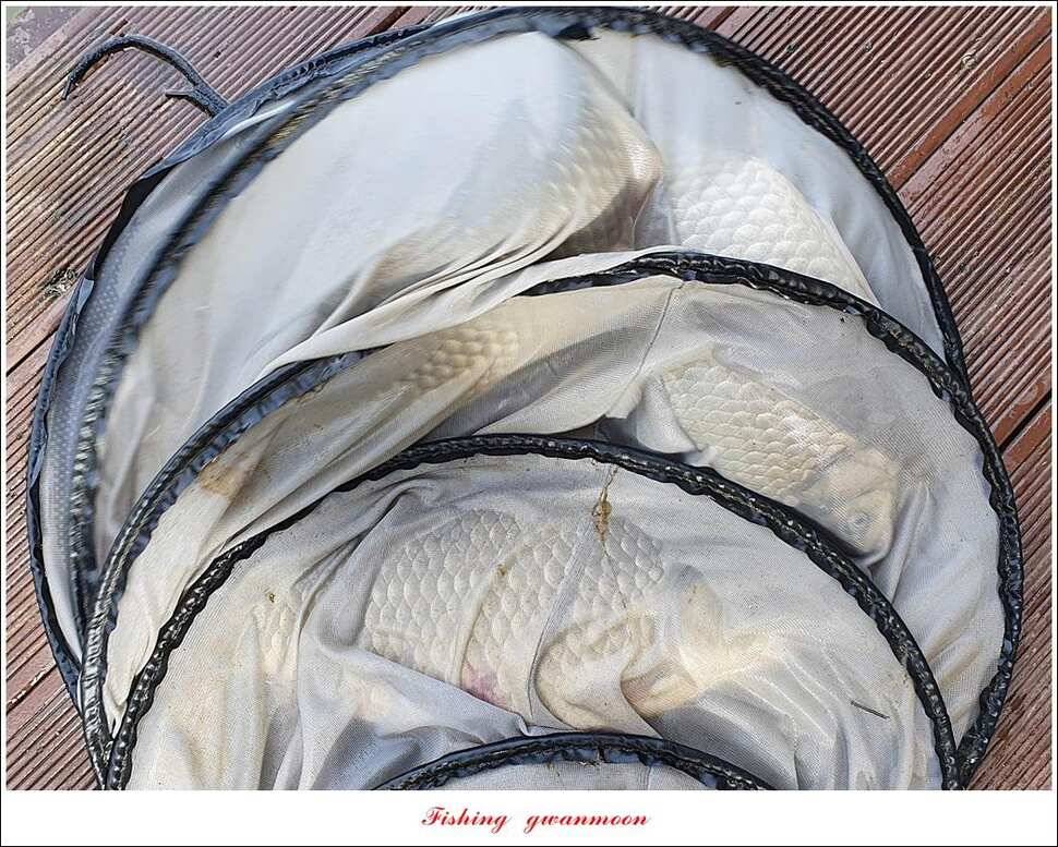 한버들 4 짜 2 수신리 4 짜실리곡 월척칠성지 4 짜 조황 (조황조행기 - 특파원조황)