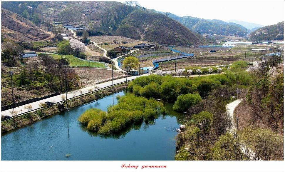 화곡지 4 짜 및 마릿수 월척소이지 조황 (조황조행기 - 특파원조황)