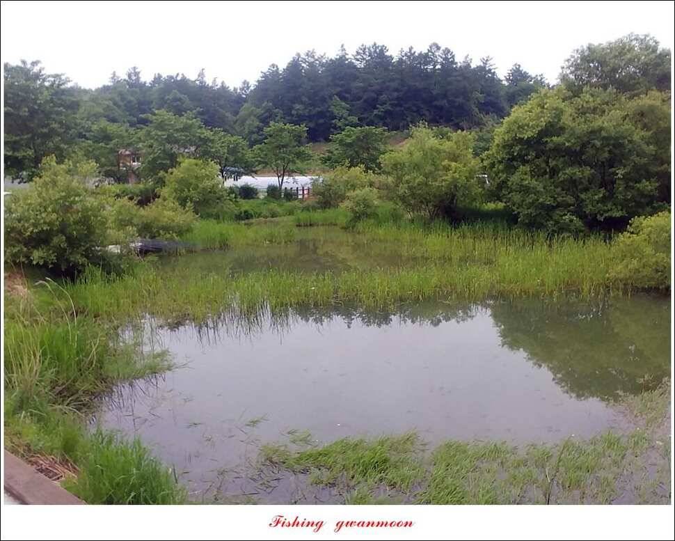 실리곡 4 짜돌감 395 cm칠성지 4 짜 (조황조행기 - 특파원조황)