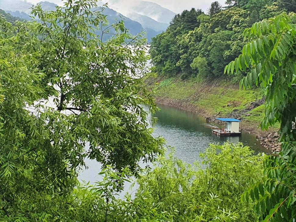 목벌 낚시터 4짜 대물붕어 하천 낚시터 허리급 조황 (조황조행기 - 특파원조황)