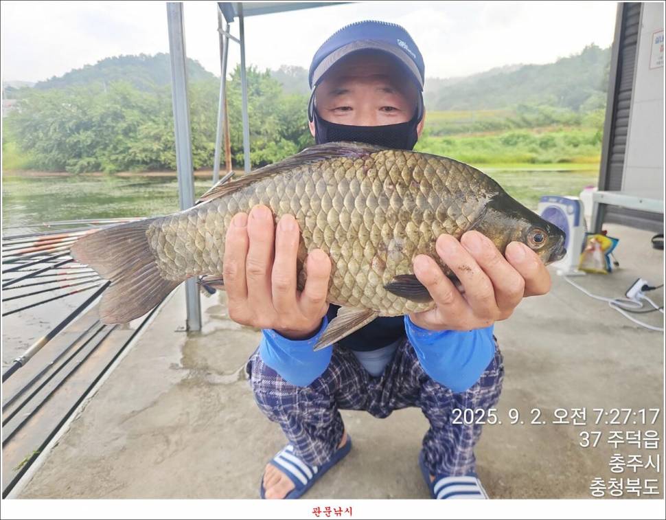남한강달천강화곡지용원지 조황 (조황조행기 - 특파원조황)