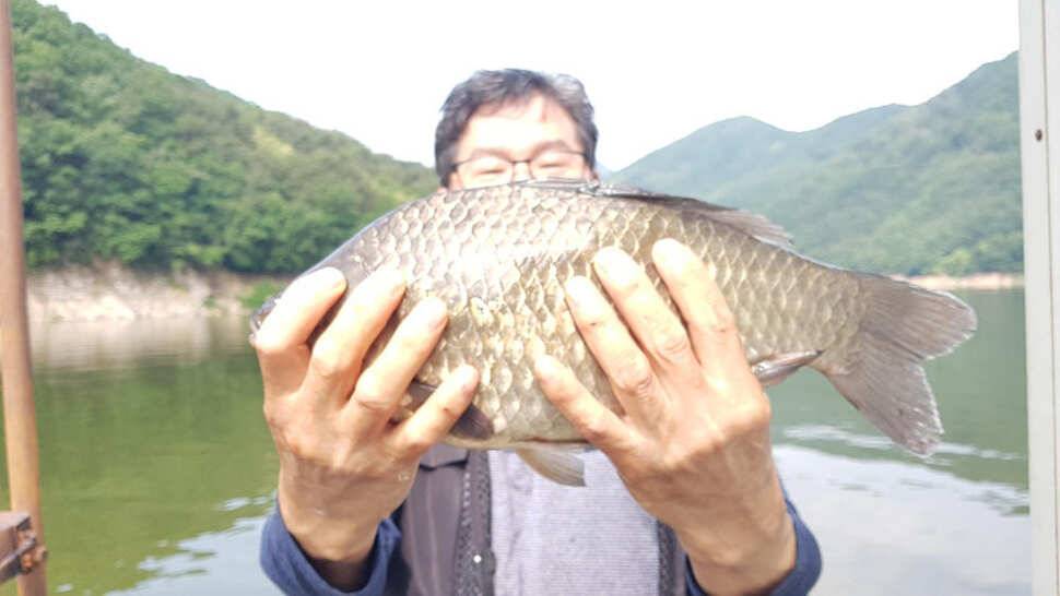 하천 4짜에 마릿수도 대박목벌도 4짜명서에도 꾸준한 조황 (조황조행기 - 특파원조황)
