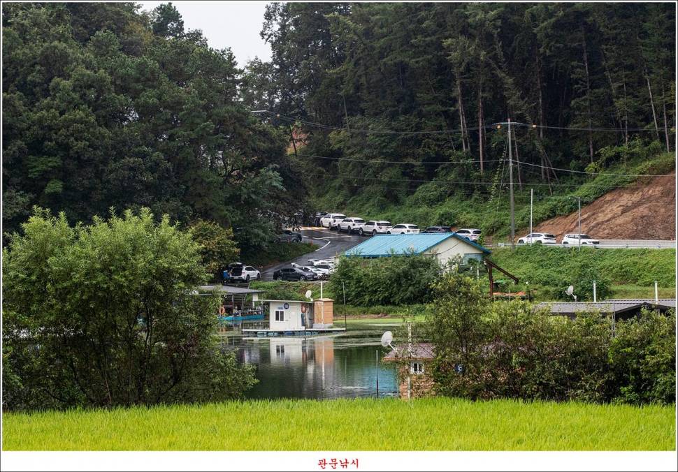 남한강달천강화곡지용원지 조황 (조황조행기 - 특파원조황)