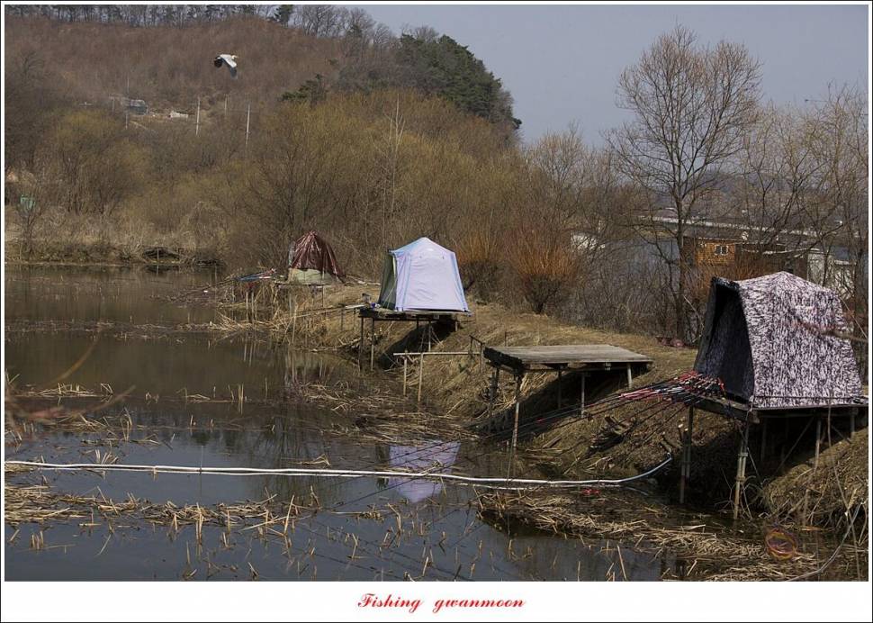 두무소화곡지 조황 (조황조행기 - 특파원조황)