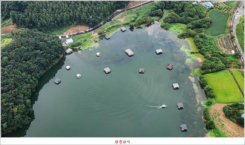 남한강달천강화곡지용원지 조황 (조황조행기 - 특파원조황)